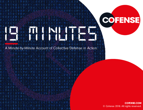 19 Minutes: A Minute-by-Minute Account of Collective Phishing Defense in Action