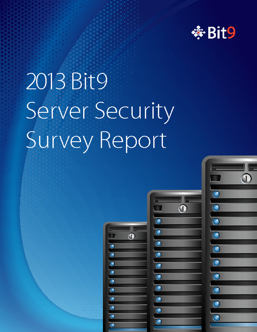 2013 Server Security Survey Report
