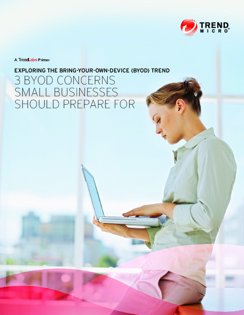 3 BYOD Concerns Small Businesses Must Prepare For