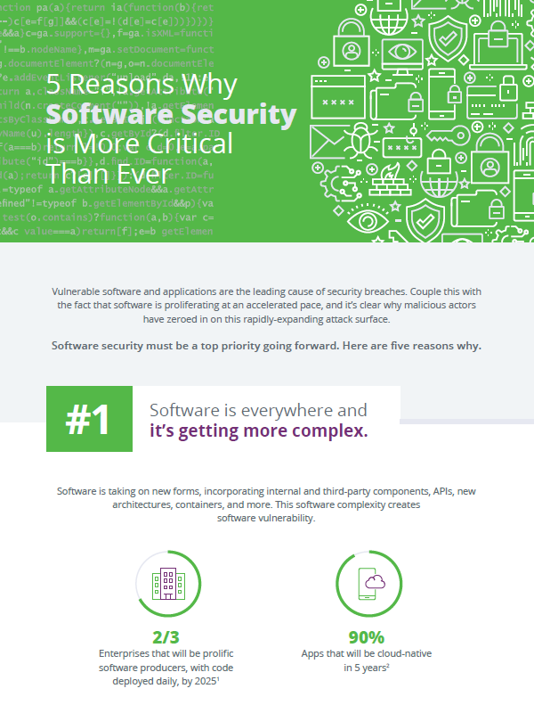 5 Reasons Why Software Security is More Critical Than Ever