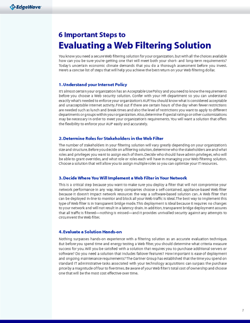 6 Important Steps to Choosing a Web Security Solution