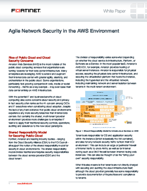 Agile Network Security in the AWS Environment