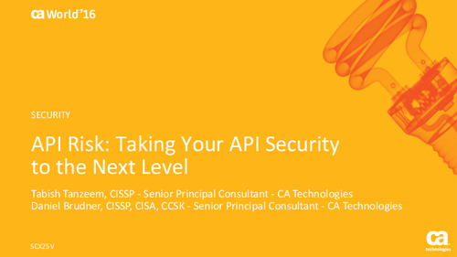 API Risk: Taking Your API Security to the Next Level