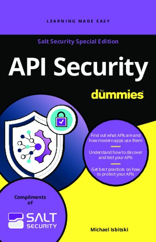 Salt Security: API Security for Dummies (and Smart People Too!)
