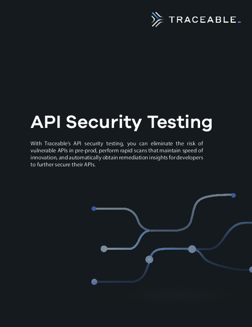 API Security Testing