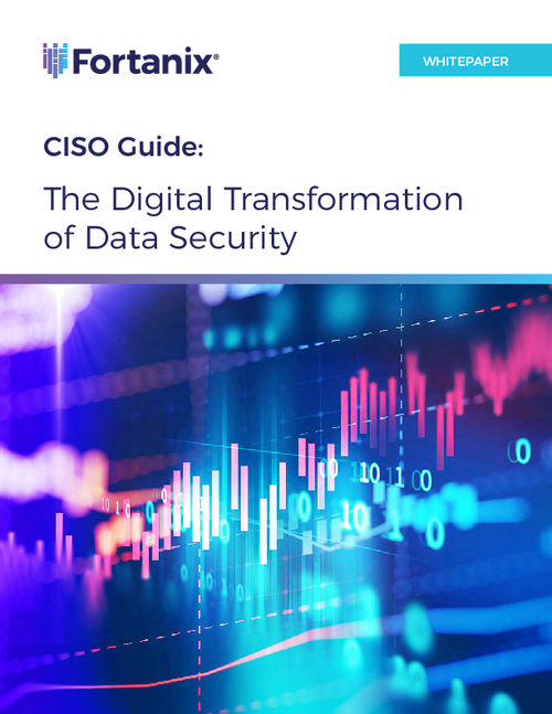 CISO Guide: The Digital Transformation of Data Security