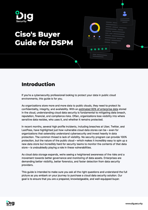 CISOs Buyer Guide for DSPM