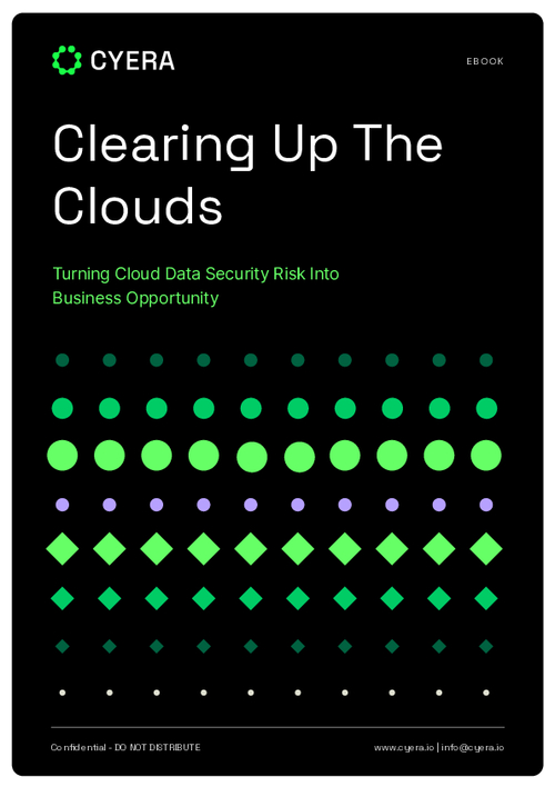 Clearing Up The Clouds: Turning Cloud Data Security Risk into Business Opportunity