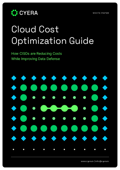 Cloud Cost Optimization Guide: How CISOs are Reducing Costs While Improving Data Defense