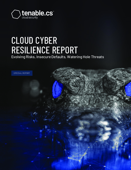 Cloud Cyber Resilience Report
