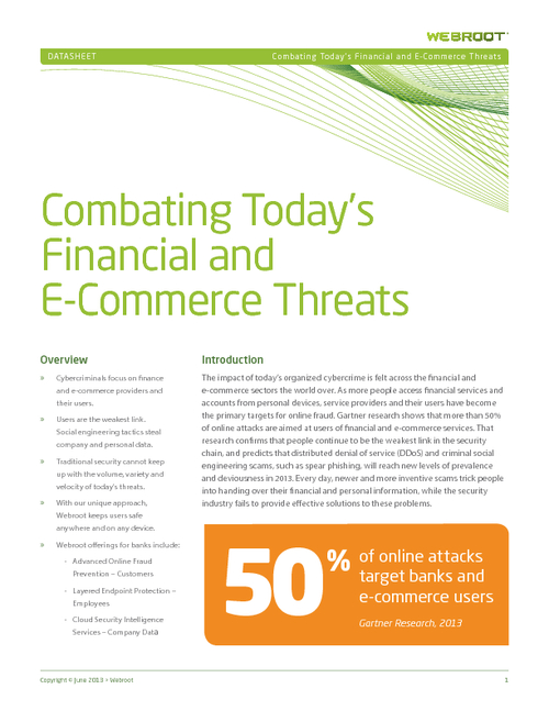 Combating Today's Financial, E-Commerce Threats