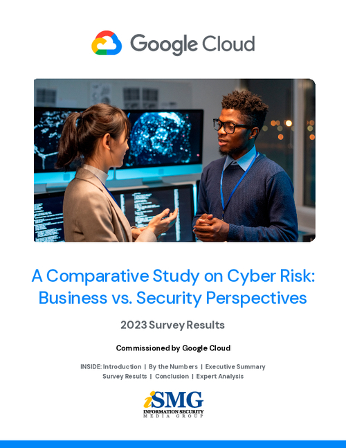 A Comparative Study on Cyber Risk: Business vs. Security Perspectives - Research Report