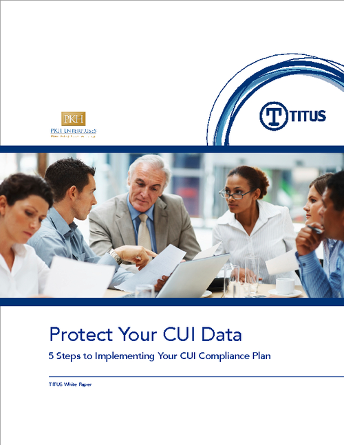 Controlled Unclassified Information: 5 Steps to a Successful CUI Compliance Plan