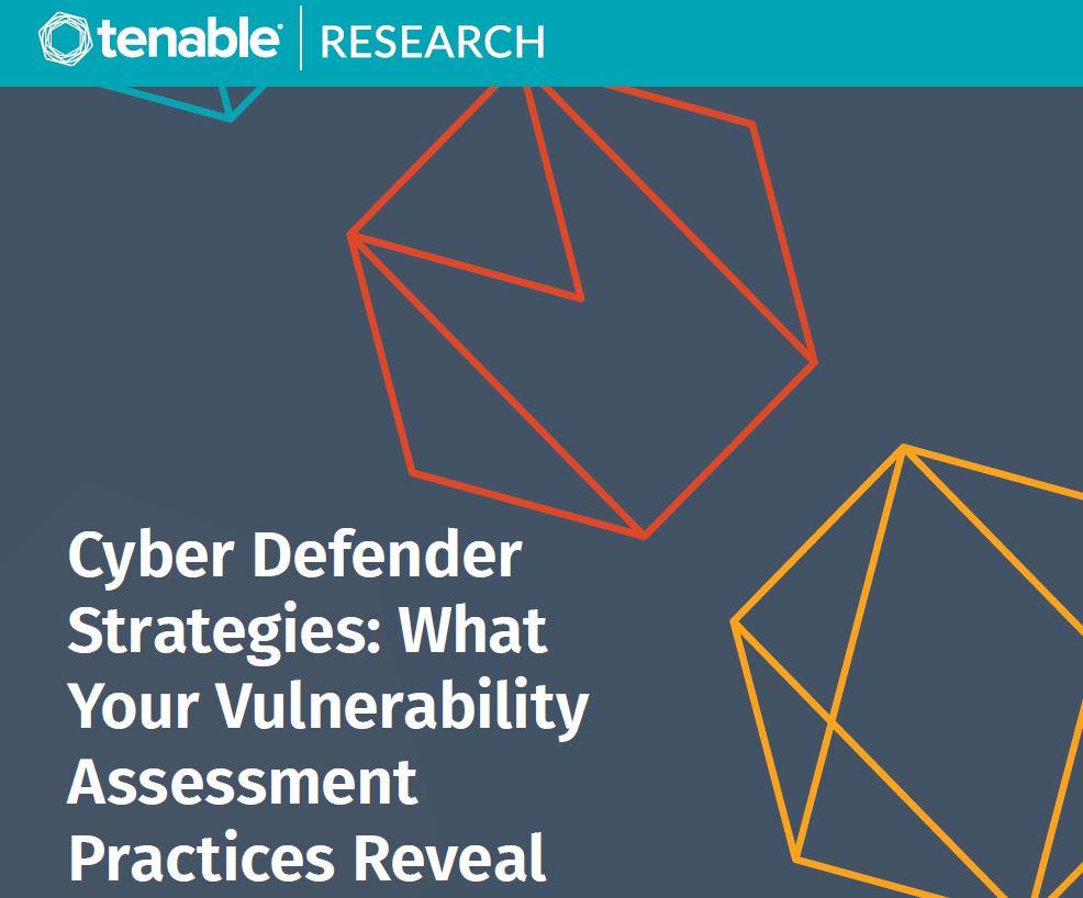 Cyber Defender Strategies: What Your Vulnerability Assessment Practices Reveal