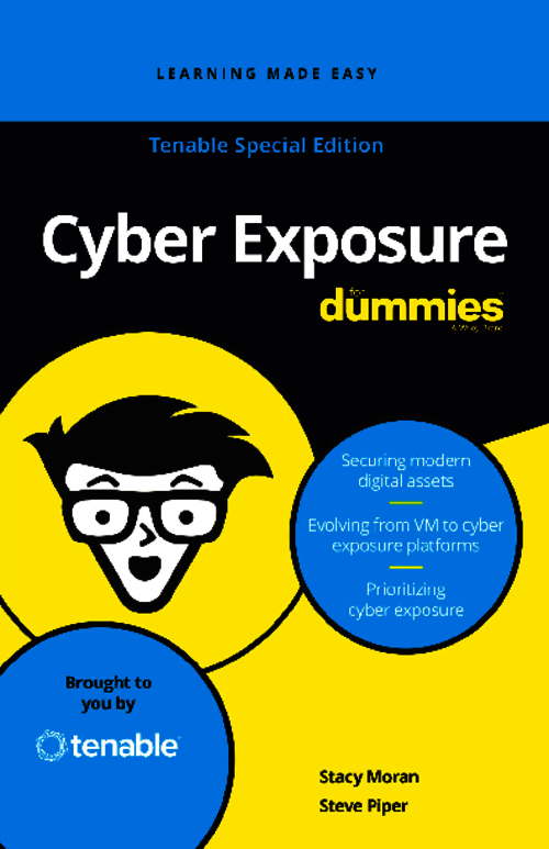 Cyber Exposure: The Easily Digested e-Book