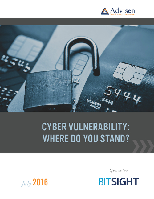 Cyber Vulnerability: Where Do You Stand?