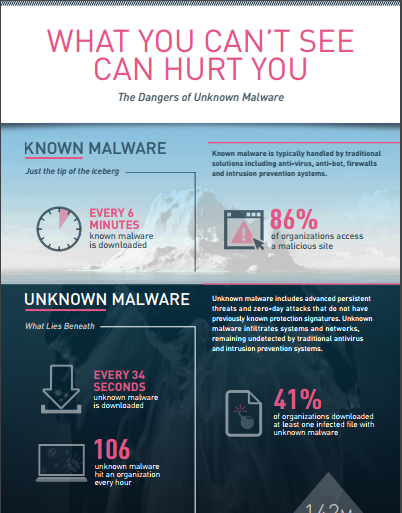 The Dangers of Unknown Malware