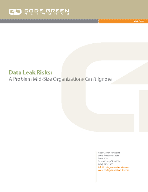 Data Leak Risks:  A Problem Mid-Size Organizations Cannot Ignore