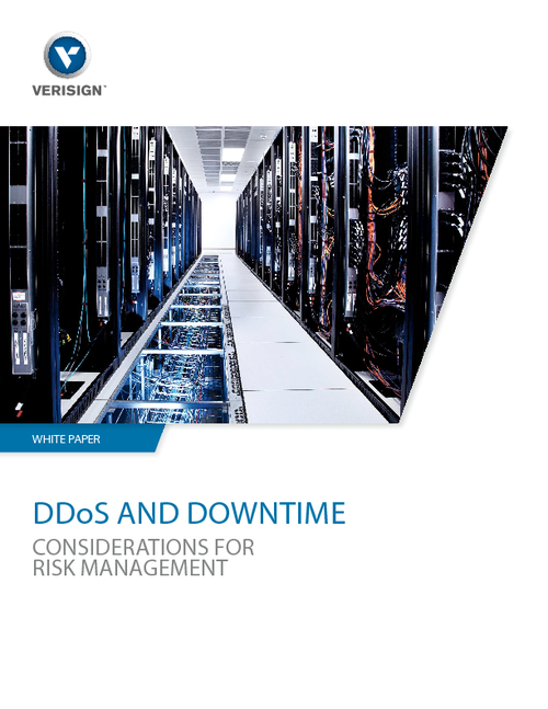 DDoS and Downtime: Considerations for Risk Management
