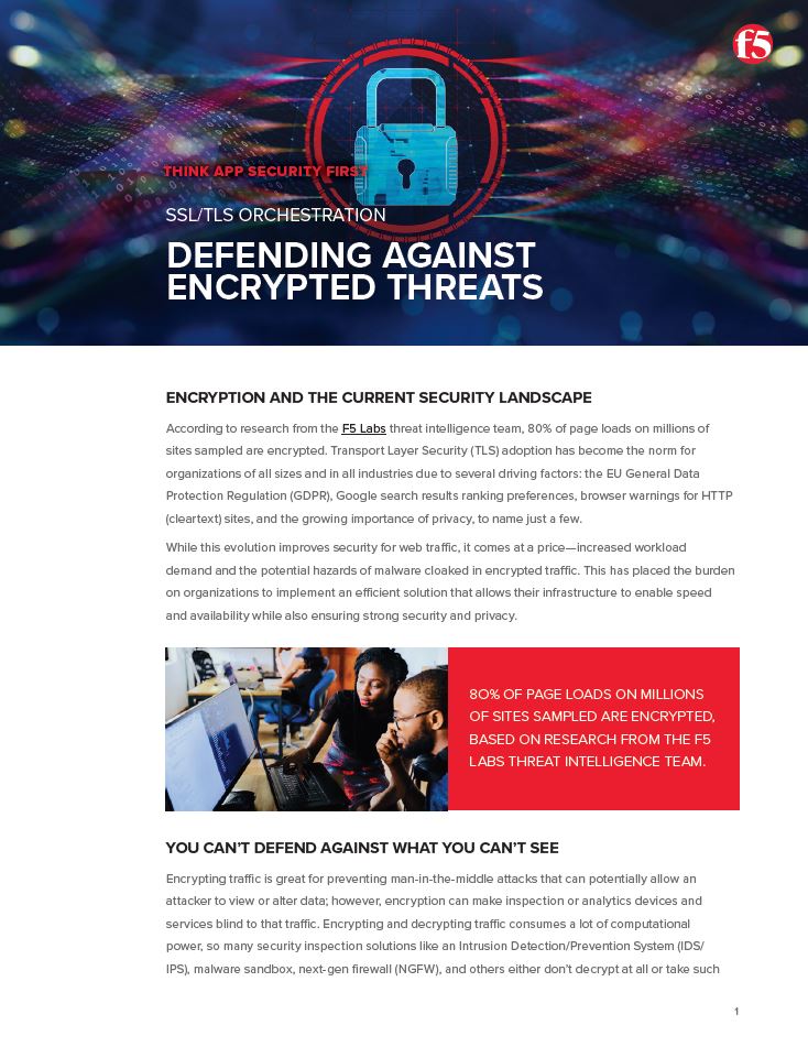 Defending Against Encrypted Threats