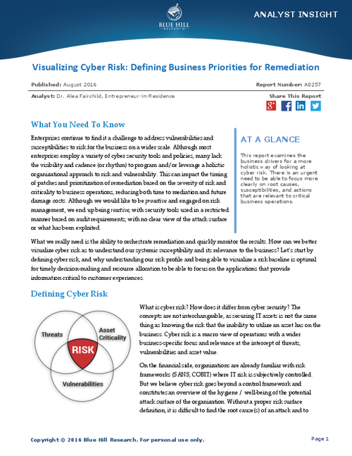 Define Business Priorities for Remediation