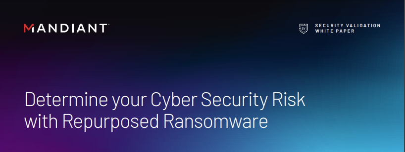 Determine your Cyber Security Risk with Repurposed Ransomware