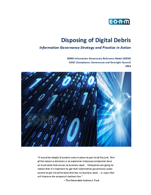 Disposing of Digital Debris: Information Governance Strategy and Practice in Action