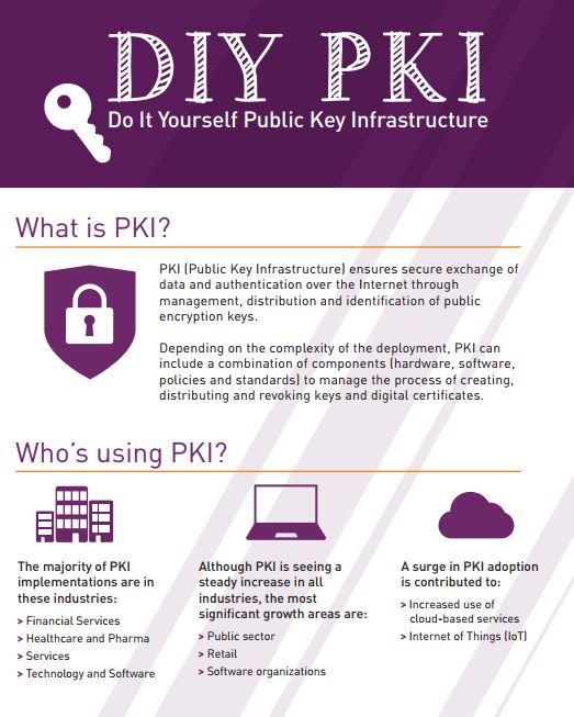 Do It Yourself Public Key Infrastructure