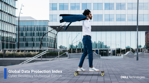 2024 Global Data Protection Index