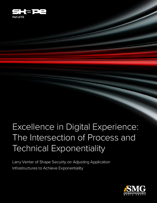 Excellence in Digital Experience: The Intersection of Process & Technical Exponentiality