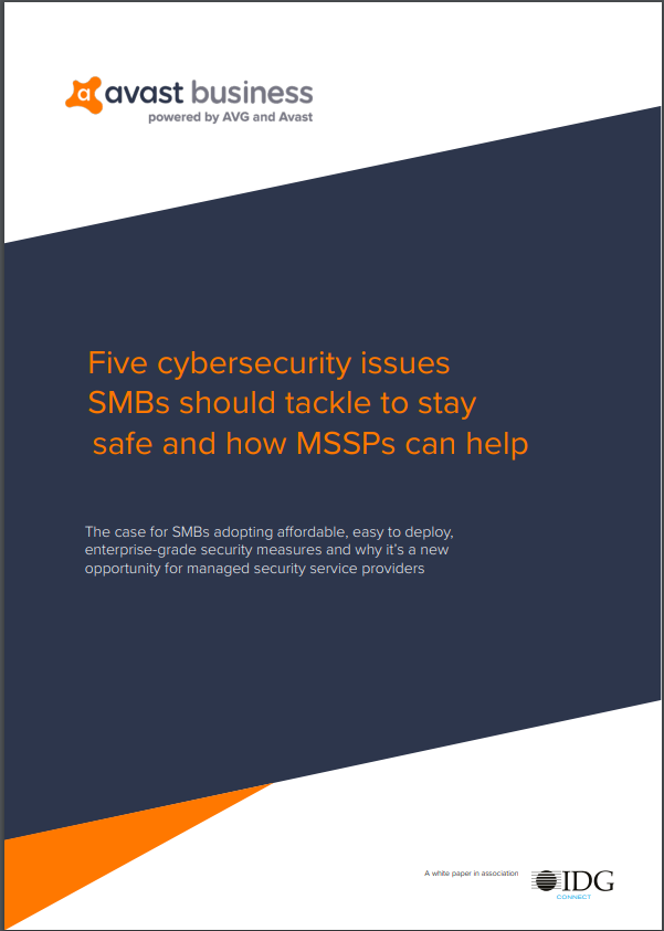 Five Cybersecurity Issues SMBs Should Tackle to Stay Safe and How MSSPs Can Help