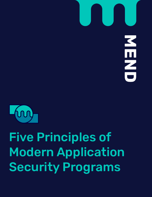 Five Principles of Modern Application Security Programs