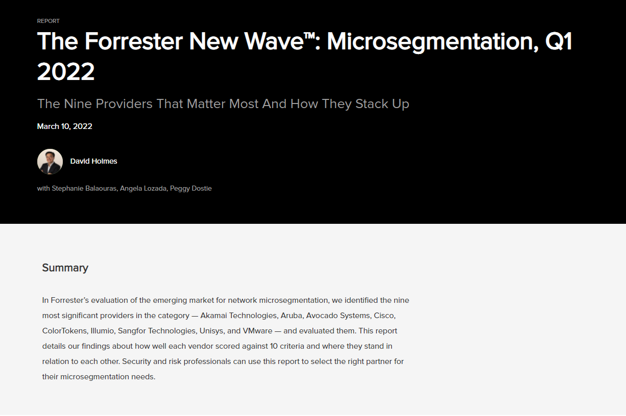The Forrester New Wave™: Microsegmentation, Q1 2022