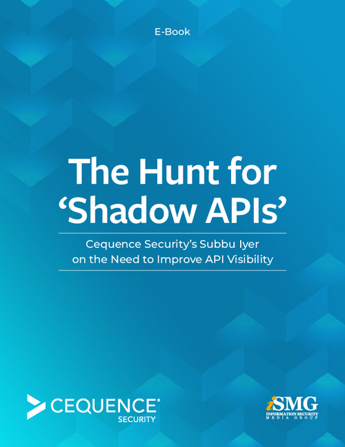 The Hunt for 'Shadow APIs'