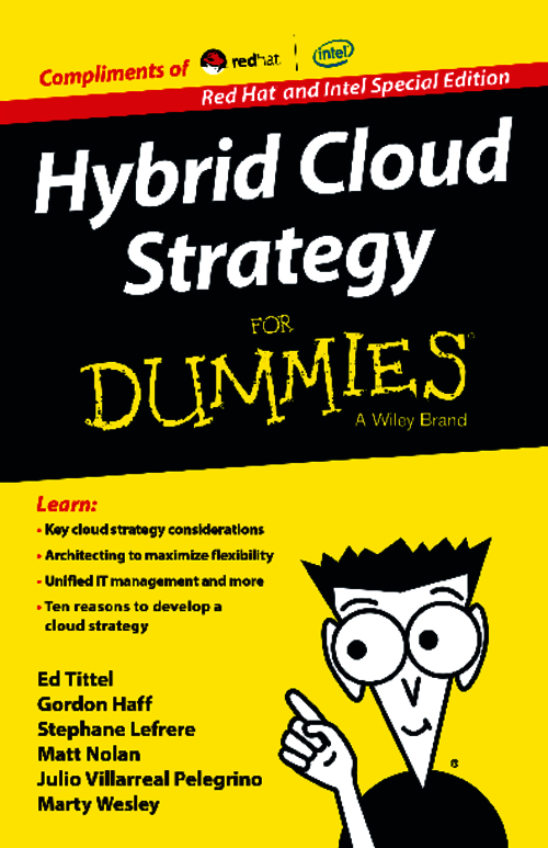 Hybrid Cloud Strategy for Dummies