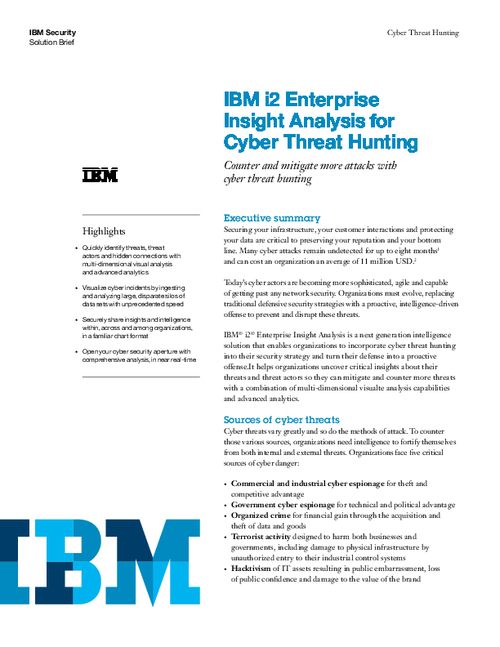 Enterprise Insight Analysis for Cyber Intelligence