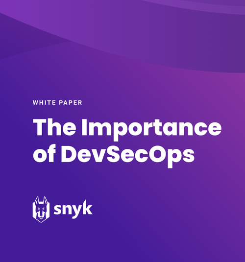 The Importance of DevSecOps