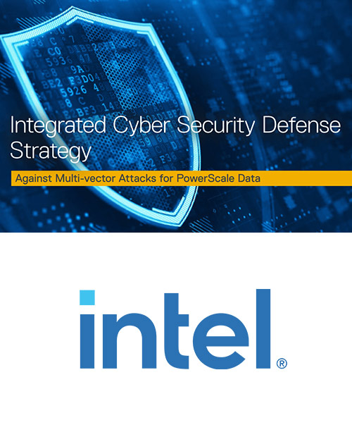 Integrated Cyber Security Defense  Strategy