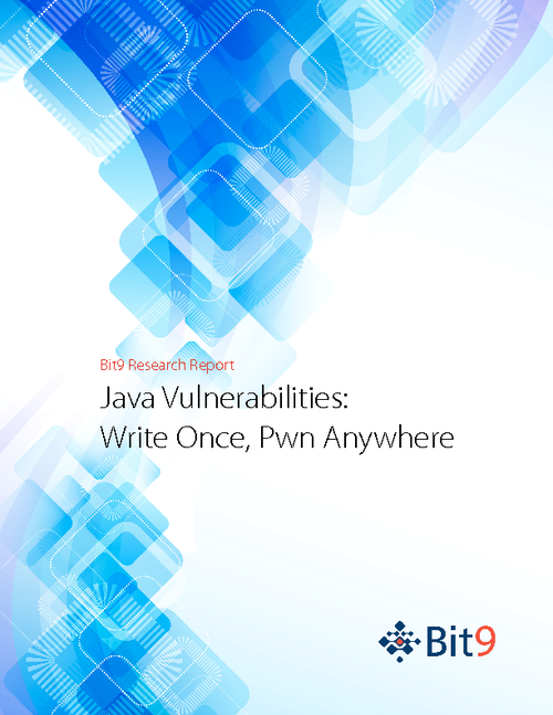 Java Vulnerabilities Report: Write Once, Pwn Anywhere