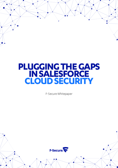 Plugging the Gaps In Salesforce Cloud Security