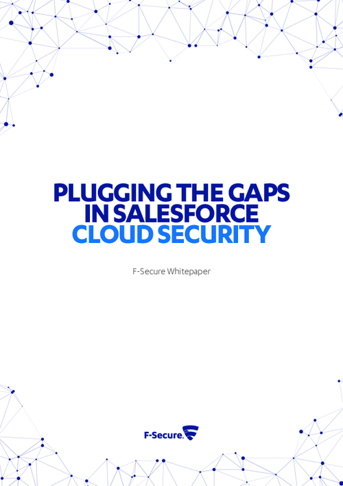 Plugging the Gaps in Salesforce