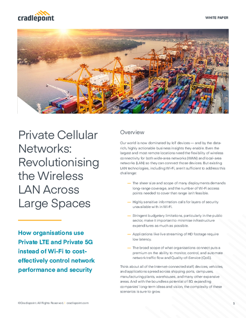 Private Cellular Networks: Revolutionizing the Wireless LAN Across Large Spaces