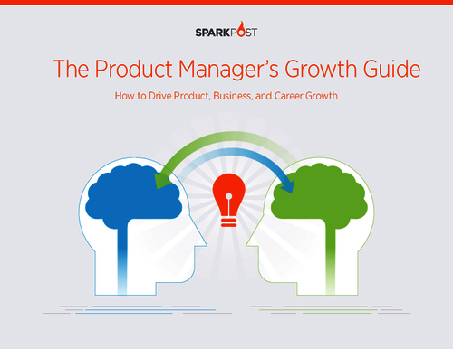 The Product Manager's Guide: How Successful Teams Drive Product, Business, and Career Growth