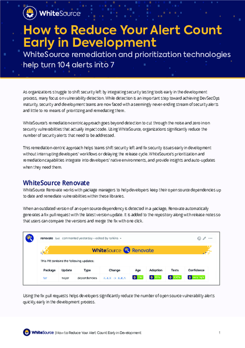 The Quickest Way to Vulnerability Remediation