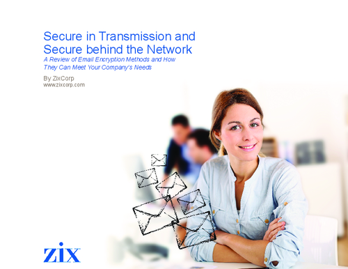 Secure in Transmission and Secure Behind the Network