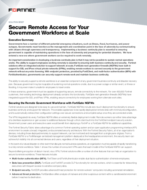 Secure Remote Access for Your Government Workforce at Scale