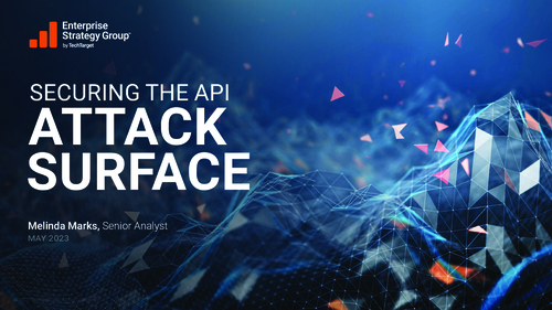 Securing the API Attack Surface