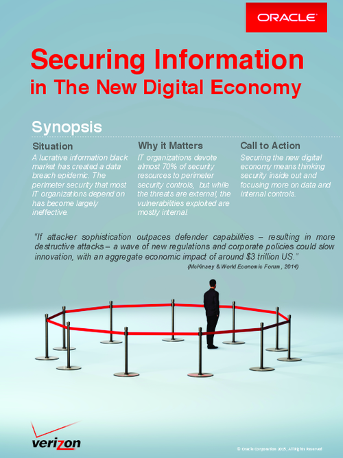 Securing Information in the New Digital Economy