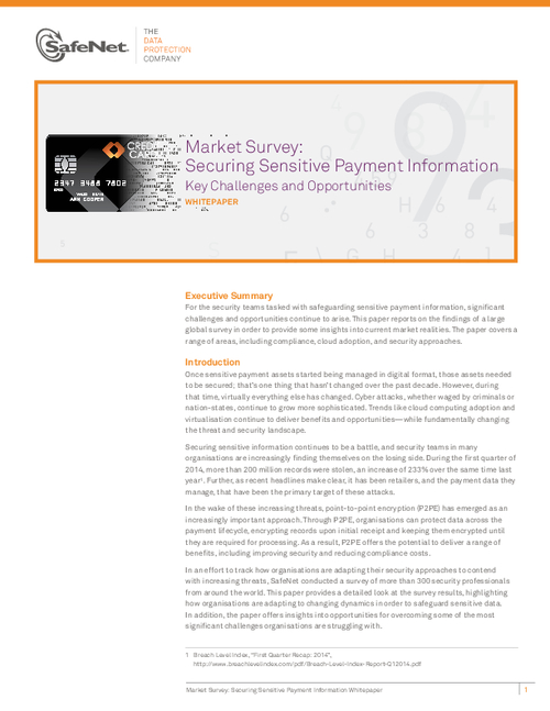 Securing Sensitive Payment Information Key Challenges and Opportunities