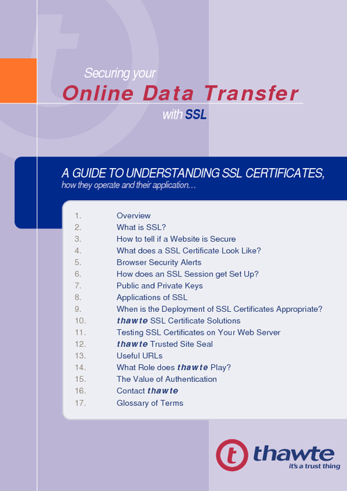 Securing Your Online Data Transfer With SSL